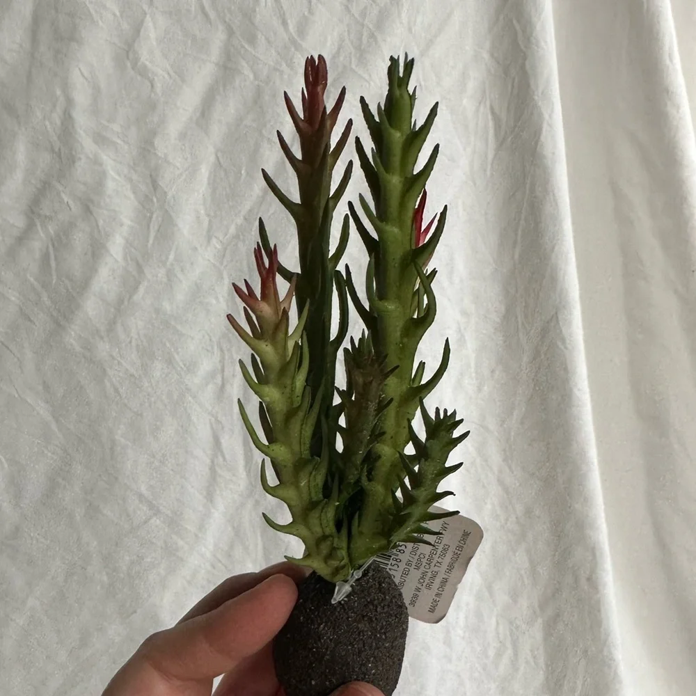 NWT Artificial Hanging Succulent - Small Faux Greenery for Home & Office Decor